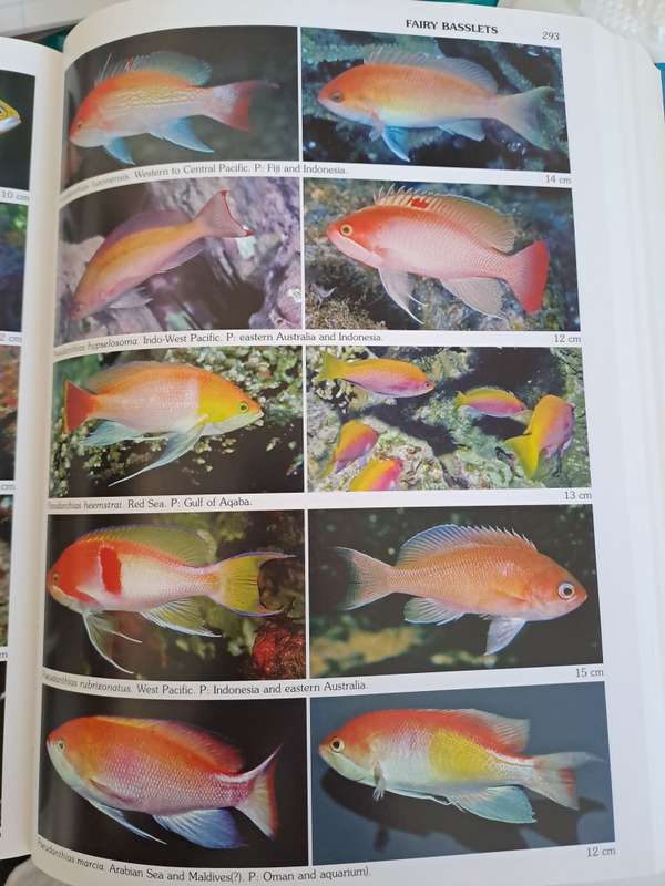 WORLD ATLAS OF MARINE FISHES.  By R Kuiter & H Debelius