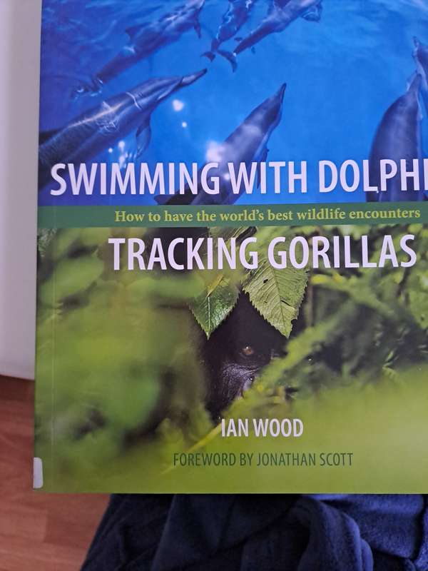 SWIMMING WITH DOLPHINS,  TRACKING GORILLAS