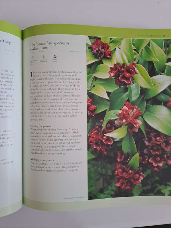 THE COMPLETE GUIDE TO HOUSEPLANTS   By Valerie Bradley