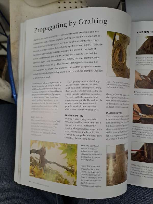 COMPLETE PRACTICAL ENCYCLOPEDIA OF BONSAI