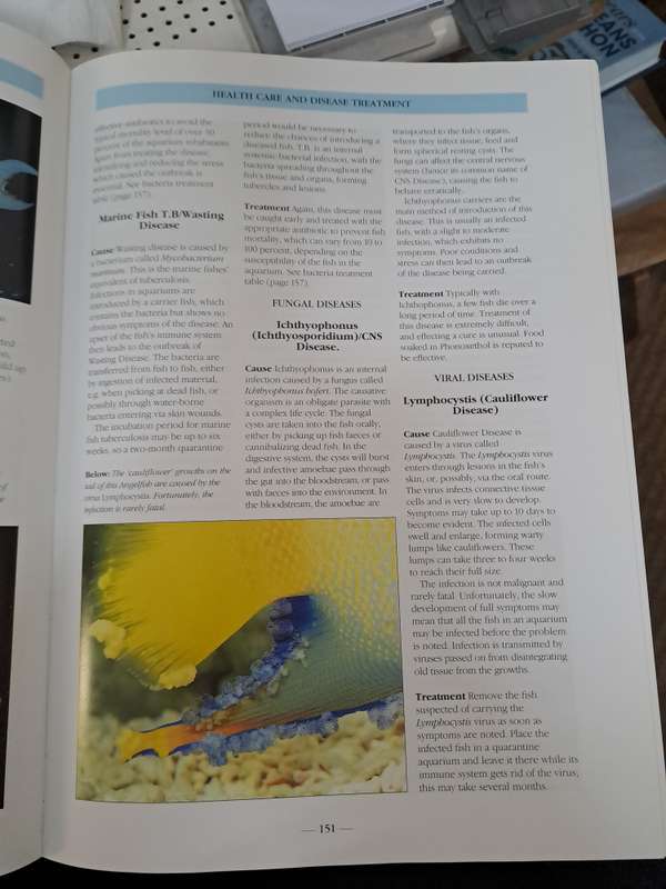 THE BOOK OF MARINE AQUARIUM. By Nick Dakin
