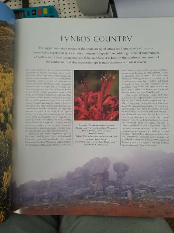 SOUTHERN AFRICAN WILD FLOWERS By John Manning (Signed)