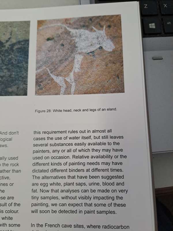 CEDERBERG ROCK PAINTINGS. By John Parkington