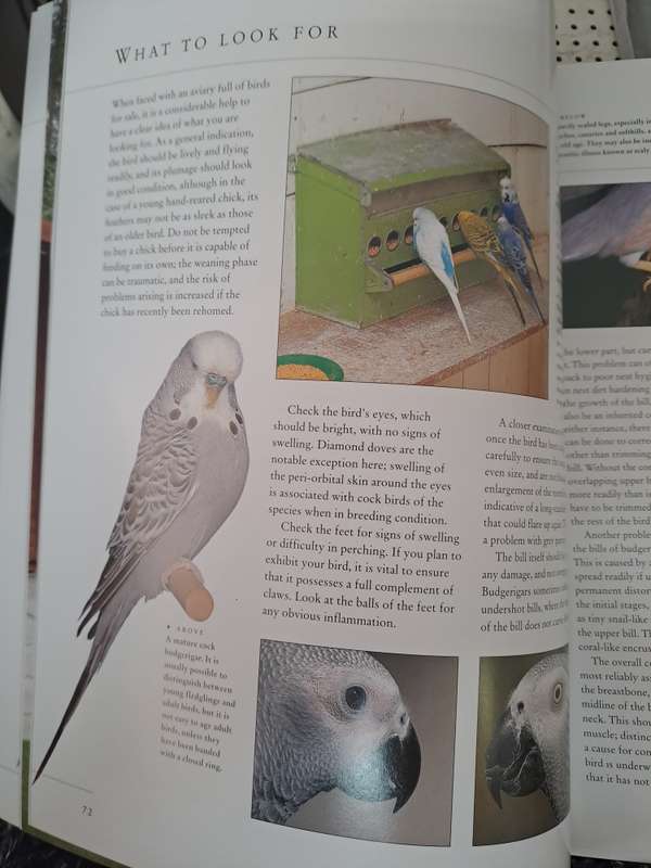 CAGED AND AVIARY BIRDS. By D Alderton
