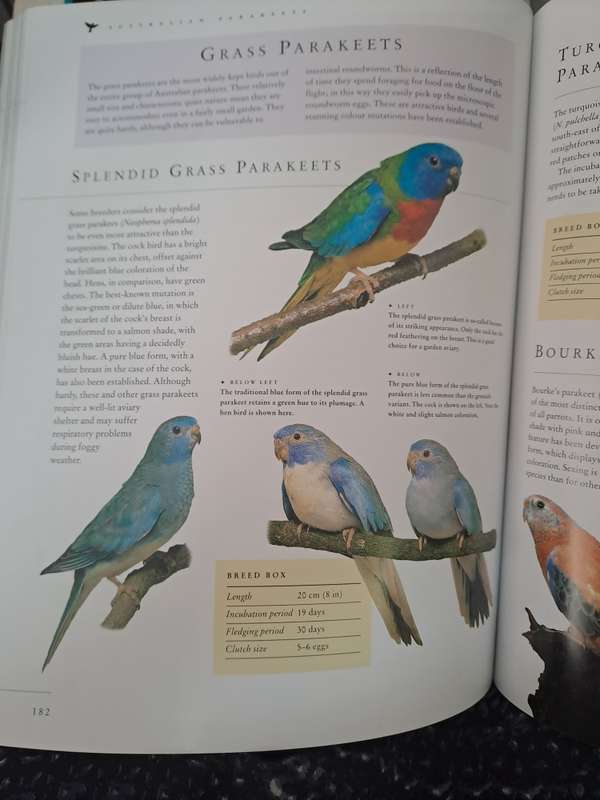 CAGED AND AVIARY BIRDS. By D Alderton
