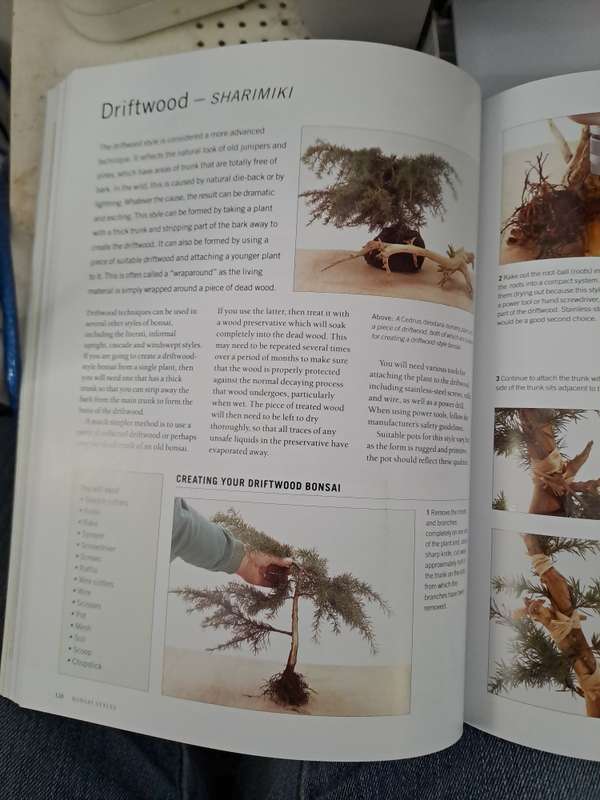 COMPLETE PRACTICAL ENCYCLOPEDIA OF BONSAI