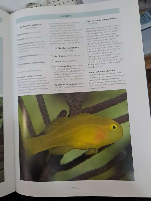 THE BOOK OF MARINE AQUARIUM. By Nick Dakin