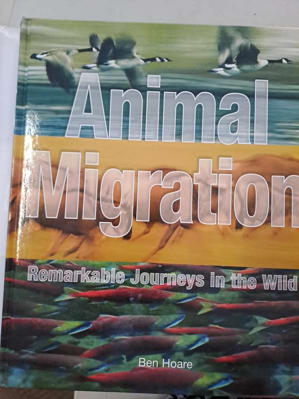 ANIMAL MIGRATION.  By Ben Hoare