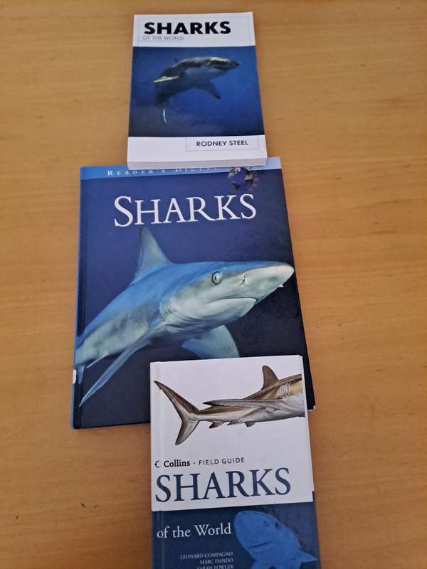 THREE BOOKS ON SHARKS