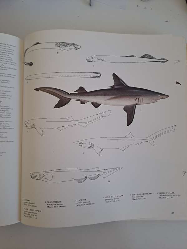 FISHING THE COMPLETE BOOK