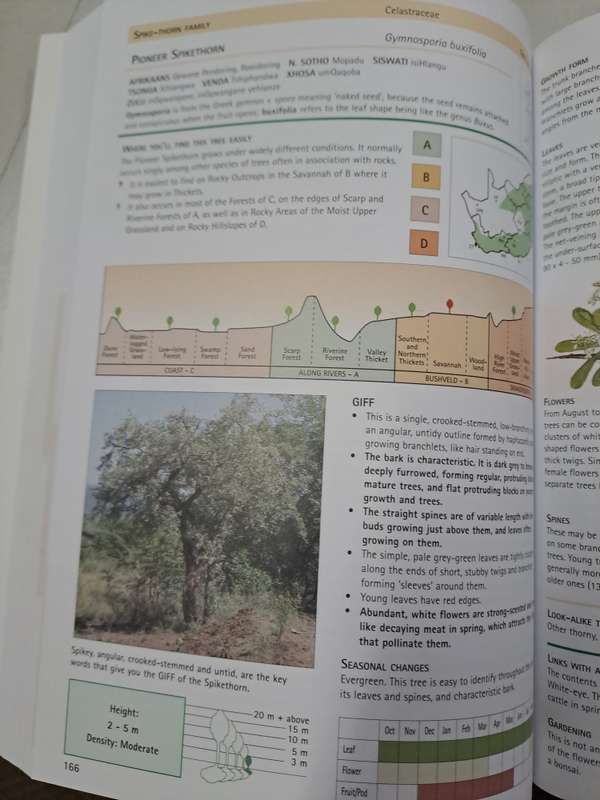SAPPI TREE SPOTTING. KWA ZULU NATAL AND EASTERN CAOE