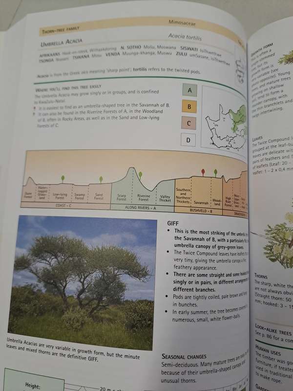 SAPPI TREE SPOTTING. KWA ZULU NATAL AND EASTERN CAOE