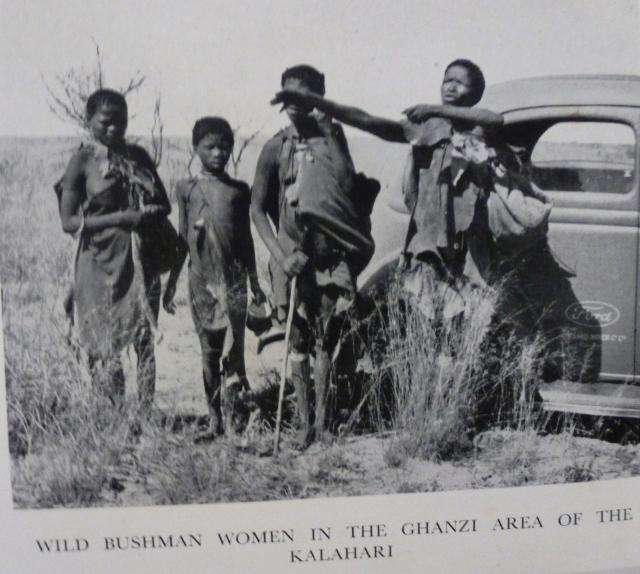 STRANGE AFRICA By Lawrence Green  -  First Editiion.