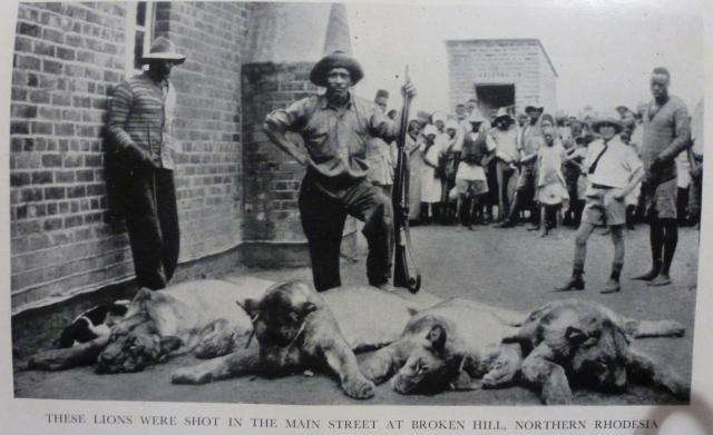STRANGE AFRICA By Lawrence Green  -  First Editiion.