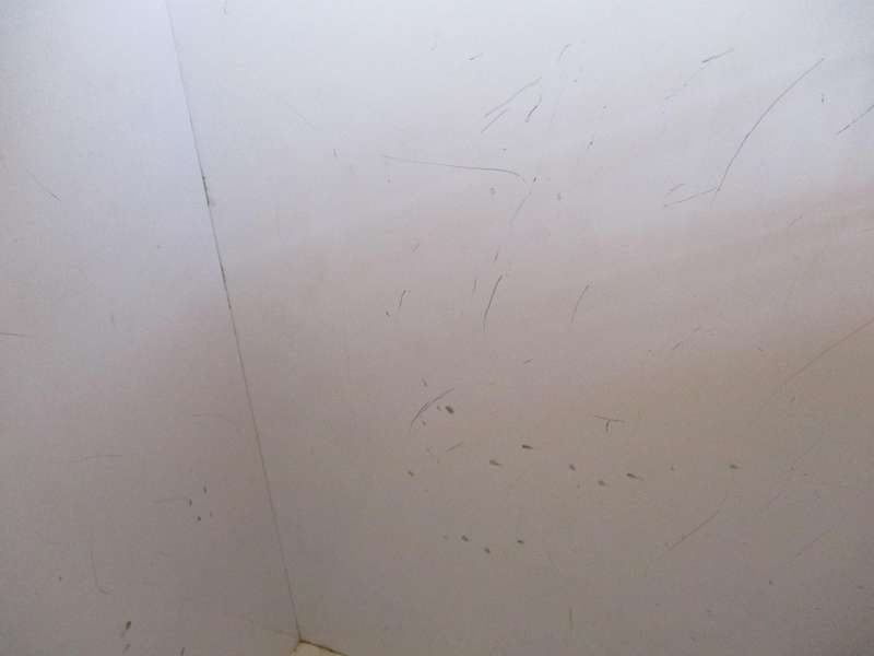 Kelvinator Freezer