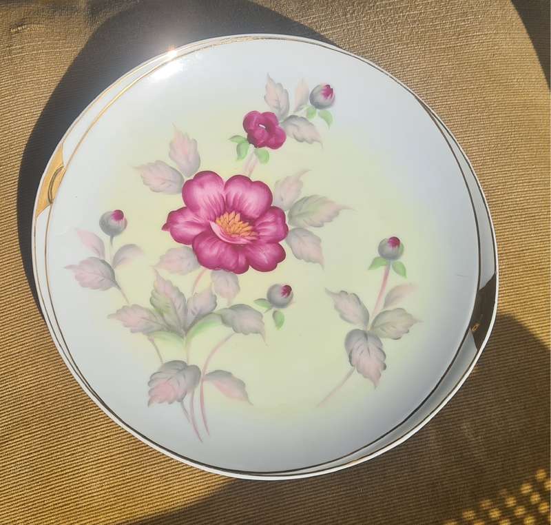 Vintage Hand Painted Kingsway Biscuit / Cake Plate