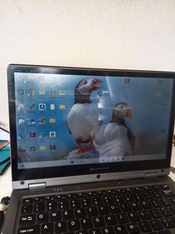 Packard Bell Monaco-Flex 11" Touch Screen