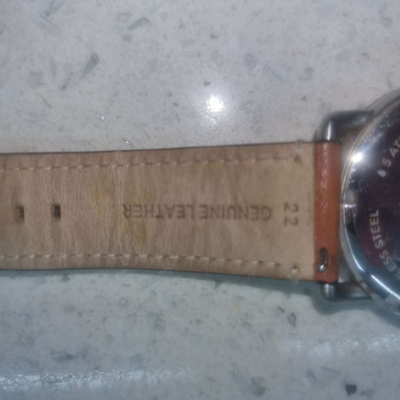 Fossil Watch