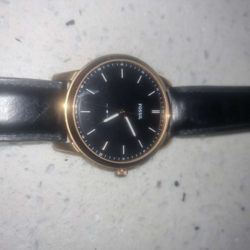 Fossil Watch