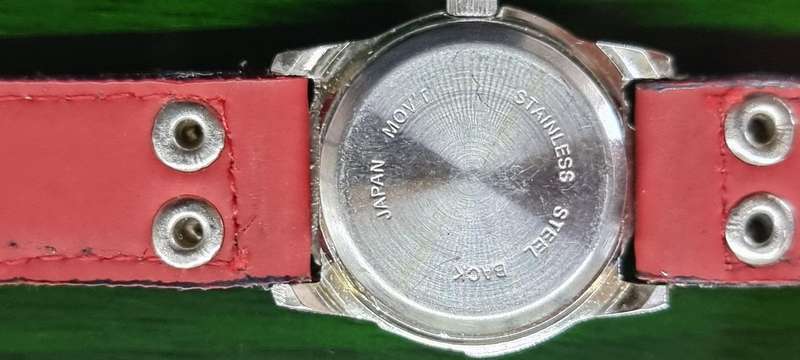 Bad boy watch