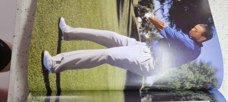 Tiger woods book