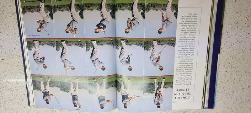 Tiger woods book