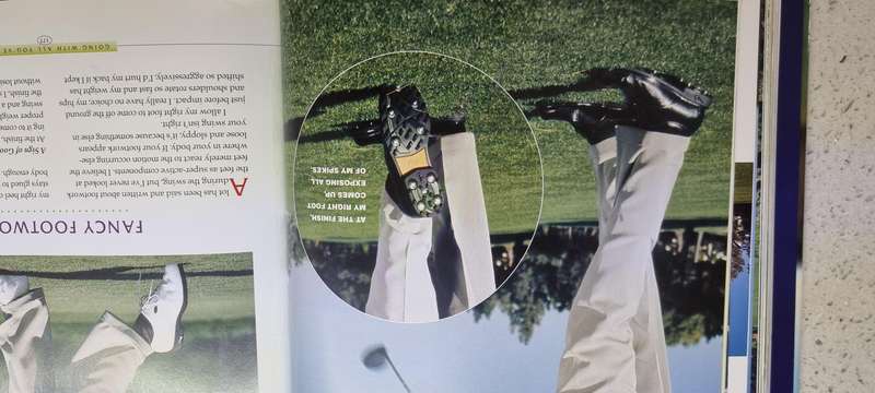 Tiger woods book
