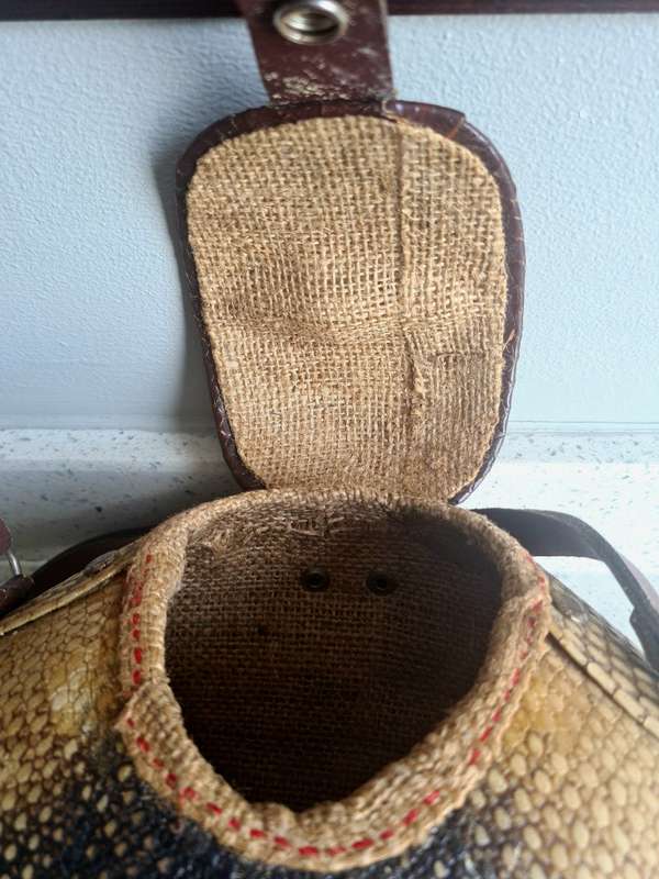 Rare find!!  Vintage Armadillo Purse Taxidermy