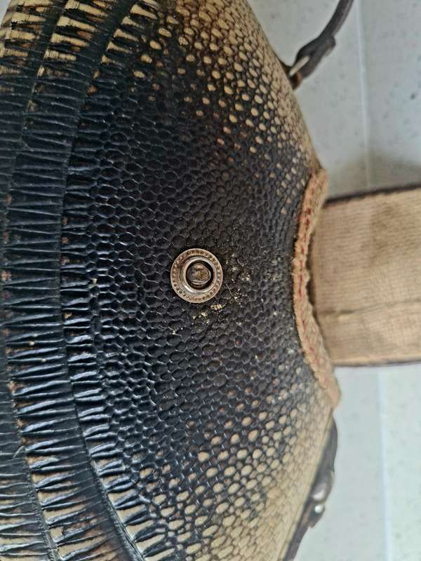 Rare find!!  Vintage Armadillo Purse Taxidermy