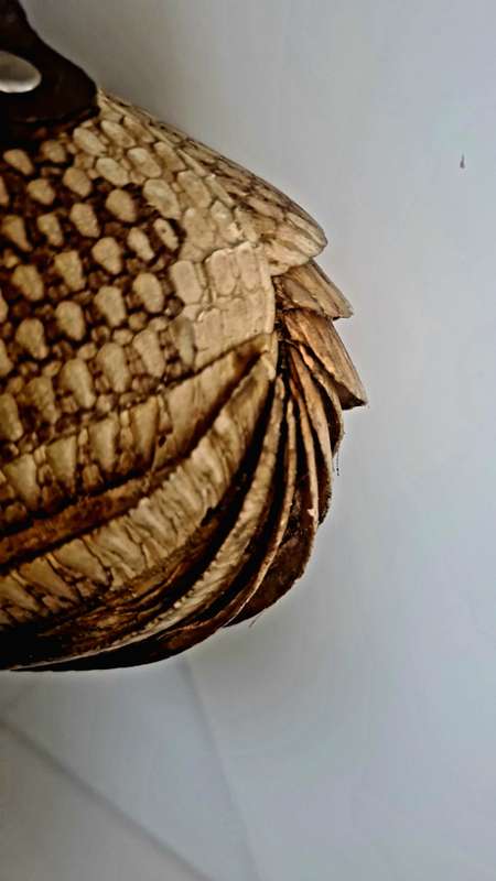 Rare find!!  Vintage Armadillo Purse Taxidermy
