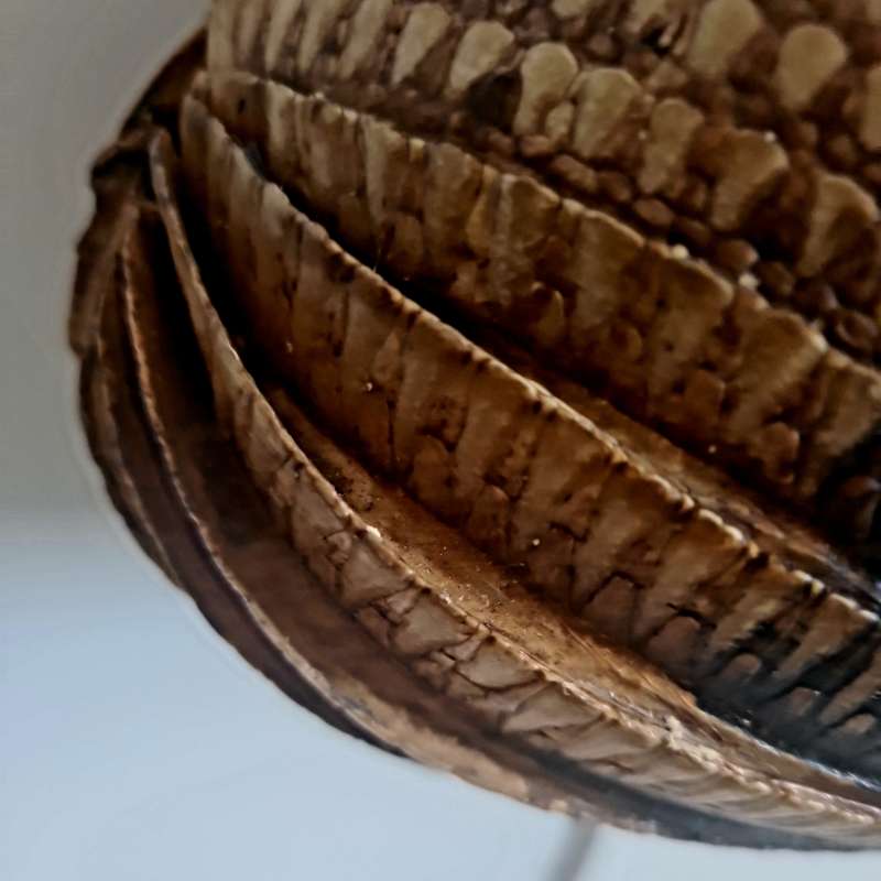 Rare find!!  Vintage Armadillo Purse Taxidermy