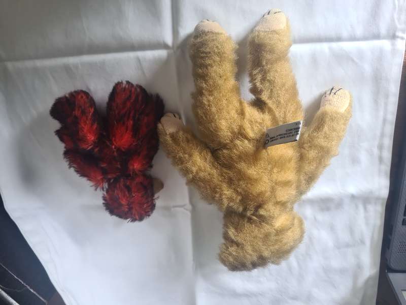 Set of 5 Vintage Teddy Bears