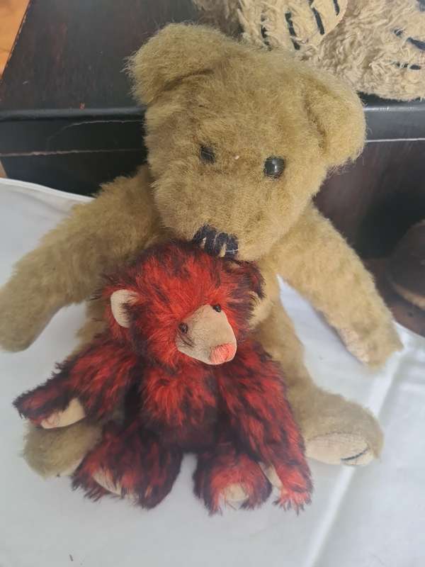 Set of 5 Vintage Teddy Bears