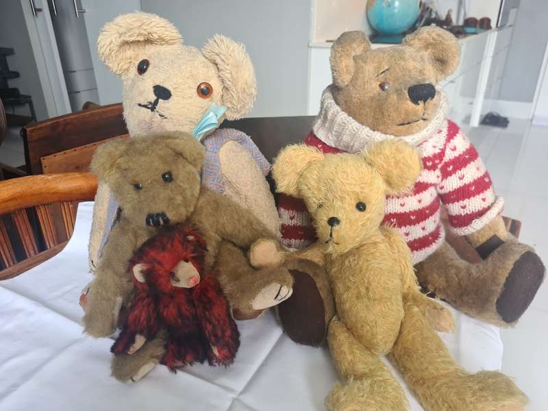 Set of 5 Vintage Teddy Bears
