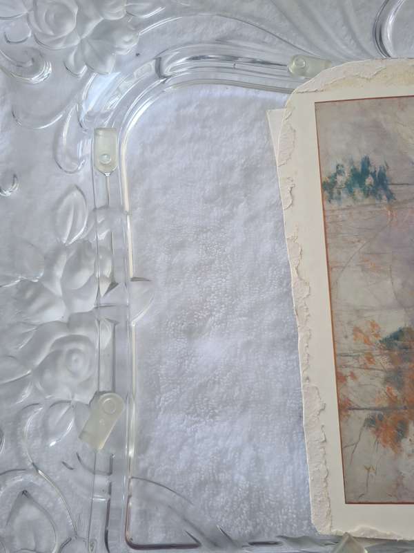Rare Find!  Gorgeous large heavy glass floral picture frame