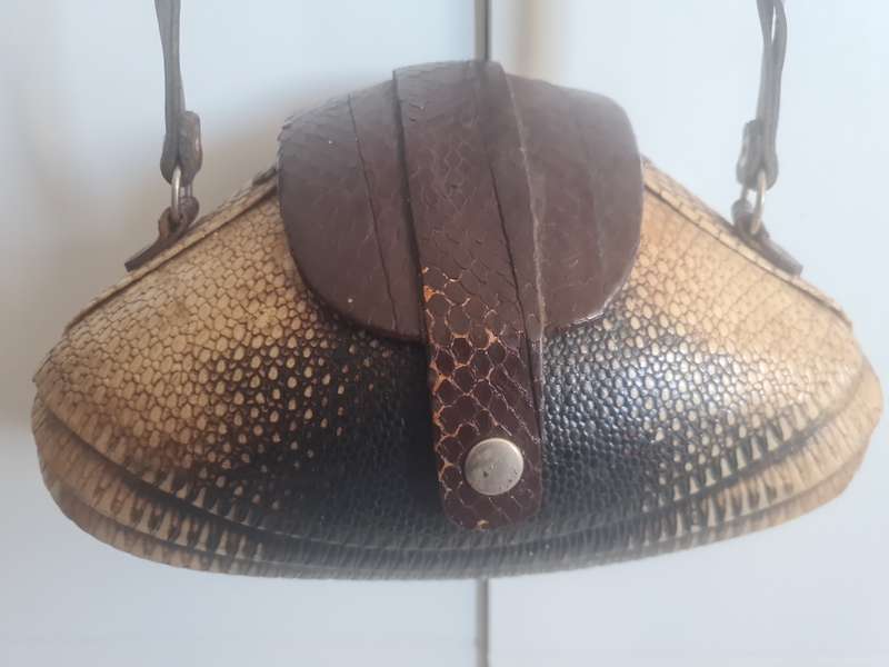 Rare find!!  Vintage Armadillo Purse Taxidermy