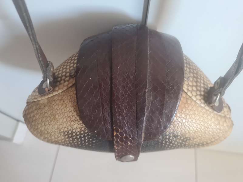 Rare find!!  Vintage Armadillo Purse Taxidermy