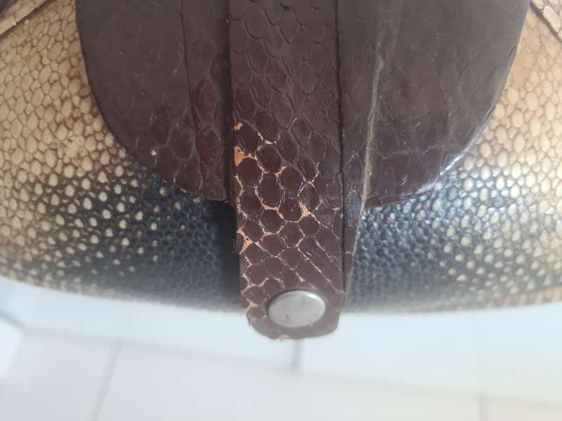 Rare find!!  Vintage Armadillo Purse Taxidermy
