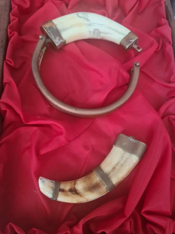 Very rare!!!  Rhodesia presentation pack WarthogTusk brass bracelet and pendant