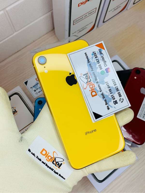 iPhone XR