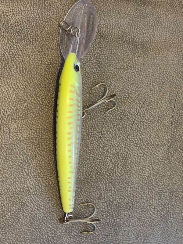 30 FOOT LURE!! Rapala X-Rap Magnum 30 Lure. Excellent working order!