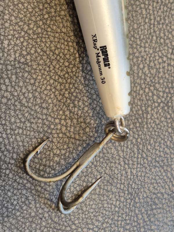 30 FOOT LURE!! Rapala X-Rap Magnum 30 Lure. Excellent working order!