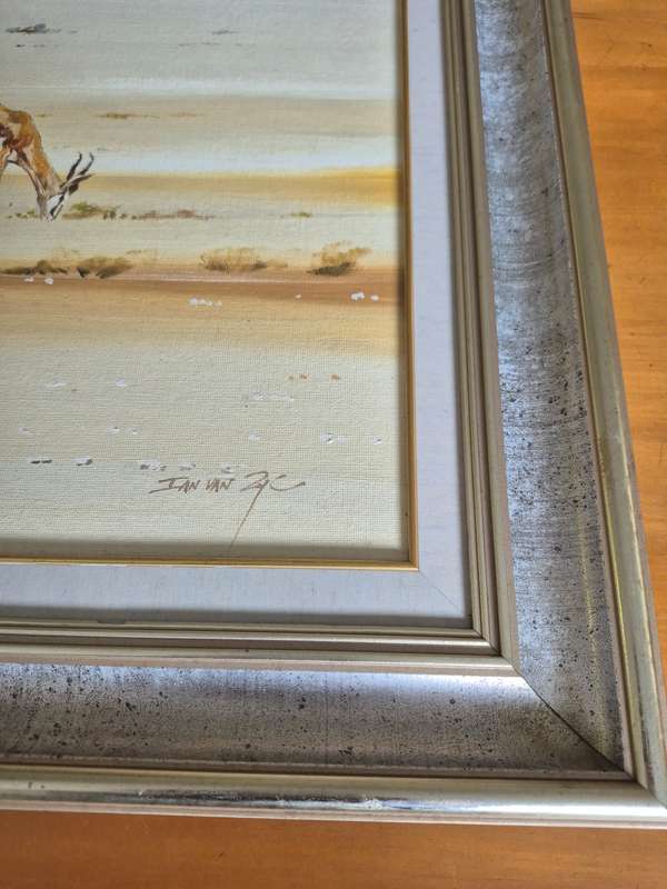 Ian Van Zyl. Original Oil Painting of a Herd of Springbuck on a Flat Plain or Vlei. LARGE.