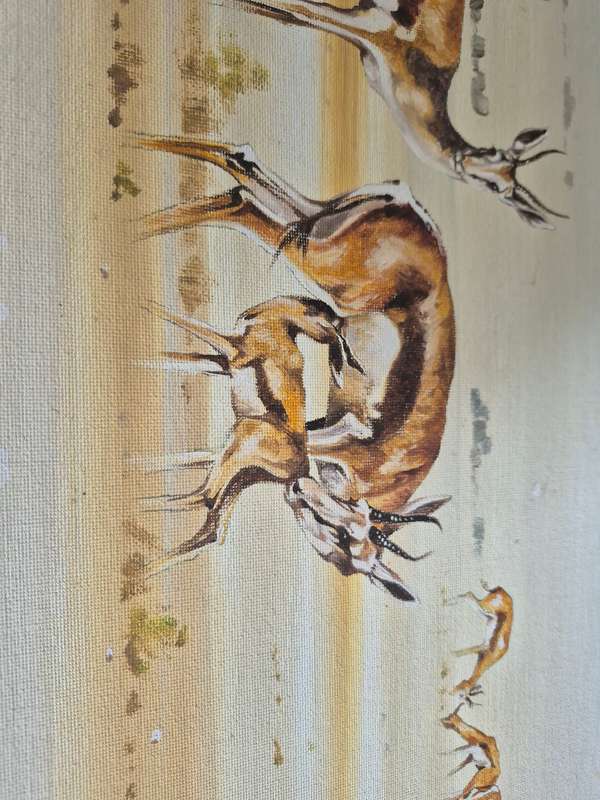 Ian Van Zyl. Original Oil Painting of a Herd of Springbuck on a Flat Plain or Vlei. LARGE.