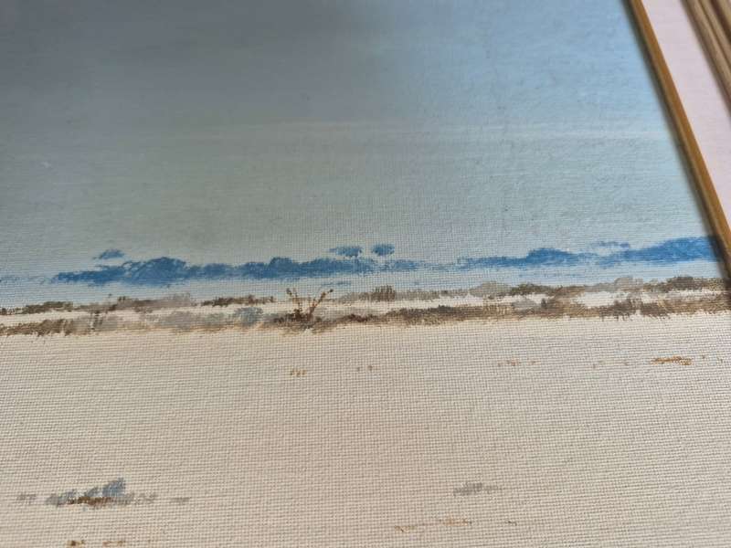 Ian Van Zyl. Original Oil Painting of a Herd of Springbuck on a Flat Plain or Vlei. LARGE.