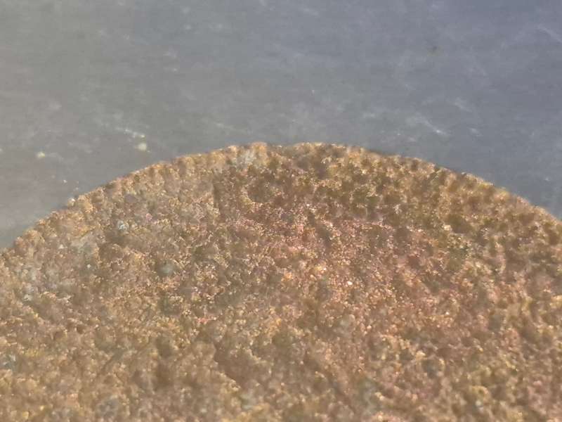 Very Thin South Africa Penny  1950 George VI 1 mm thick, 5.3 grams. 56% of designated weight! Oddity