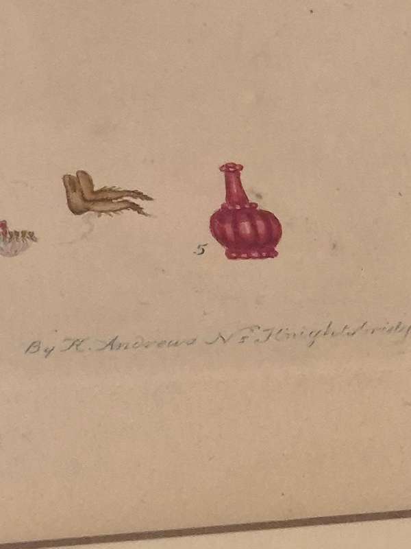 Erica Baccans. HAND COLOURED Engraving original from 1796 by H. Andrews. INDIGENOUS SOUTH AFRICAN .