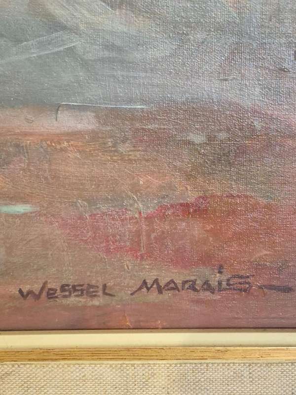 Wessel Marais. Transvaal Cosmos. Original Oil. Framed.