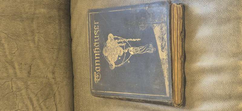 Tannhauser. A Dramatic Poem by Richard Wagner. Amazing colour illustrations by Willy Pogany.