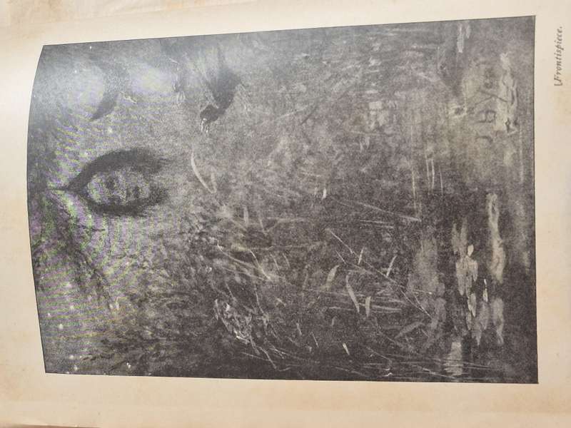 The Secret Rose. 1897 First Edition. Yeats, W.B. with illustrations by J. B. Yeats